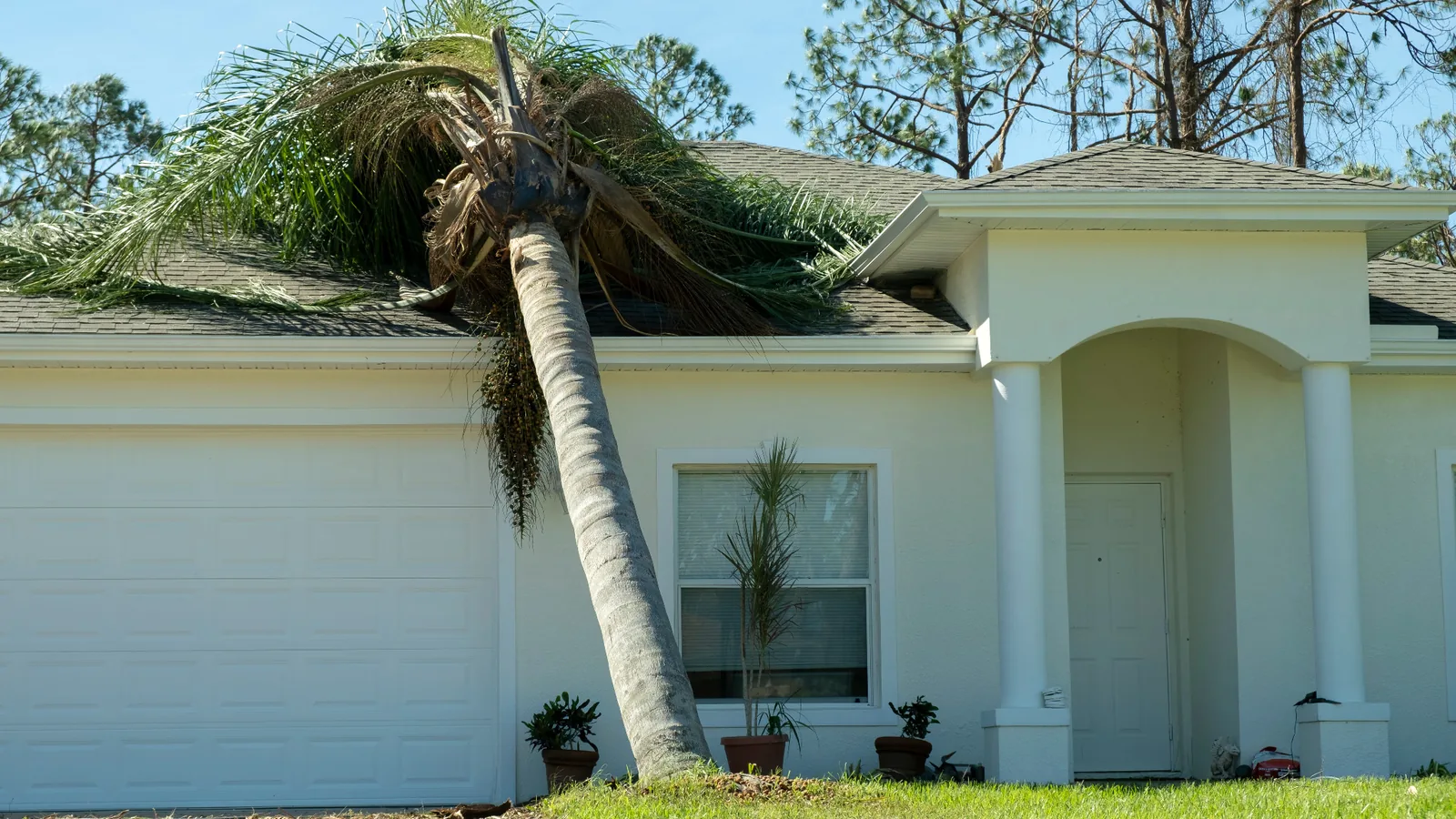 Hurricane damage claim