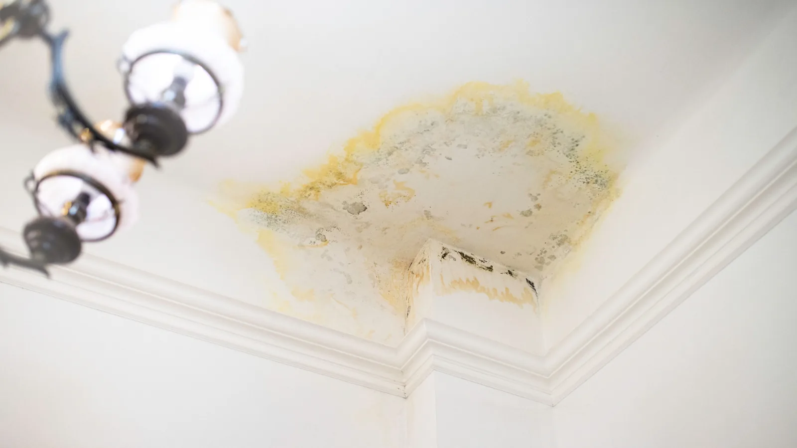 Ceiling leak damage claim