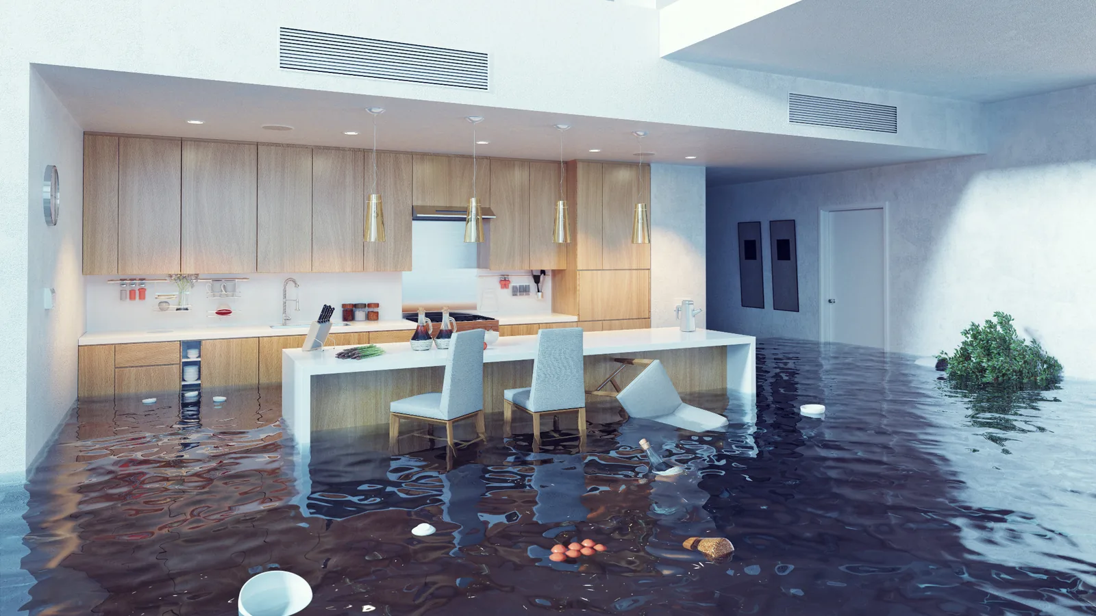 Water damage claim